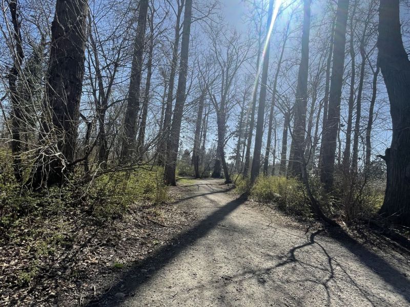 Spring In Beach Grove Dog Park 