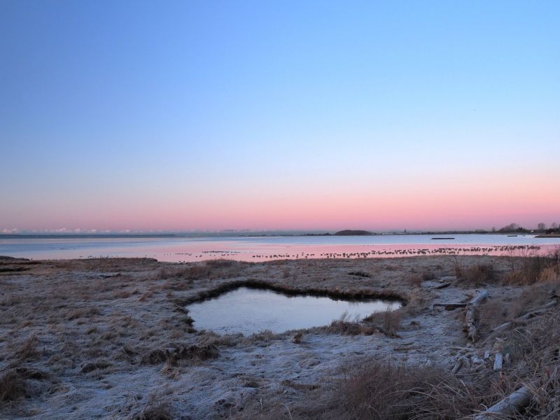 Hokid Zhao - Chill Day in Winter (ADULT).jpg