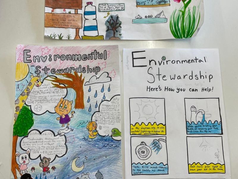 Environmental Stewardship