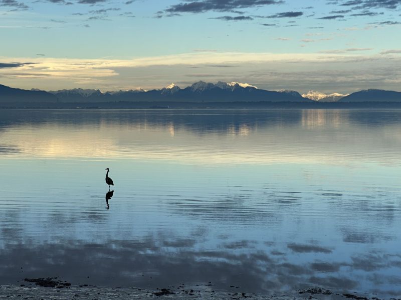 (Adult) Tom Fletcher - Sunset on Boundary Bay .jpg