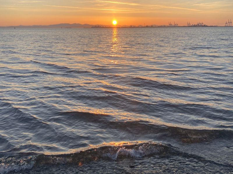 Let's Keep Tsawwassen Beach Plastic Free! 