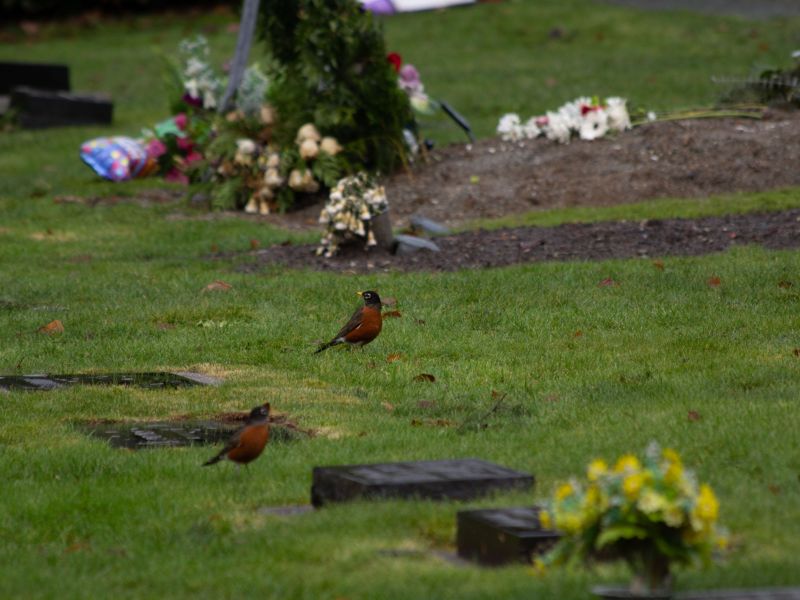 Life in Death