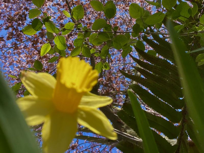 Colour of Life 