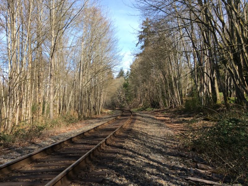Environmental Stewardship