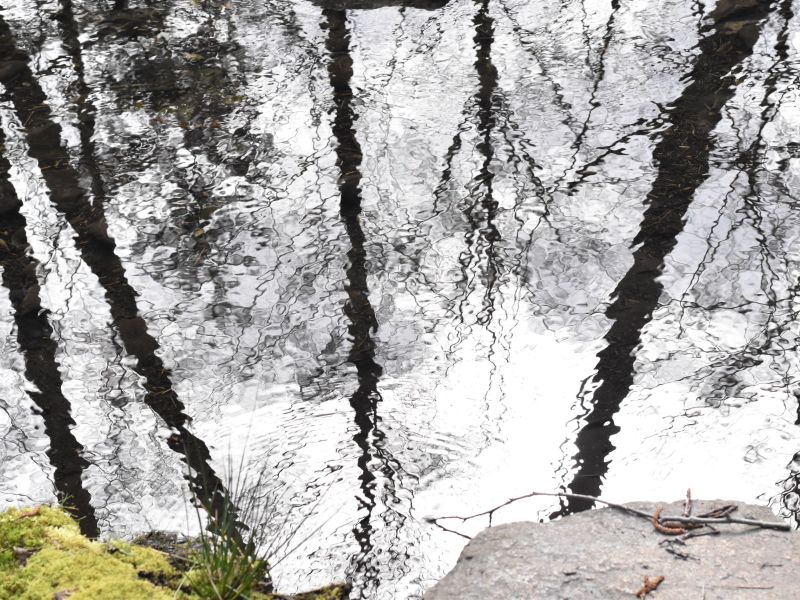 Griffin Hood - Natures Mirror (YOUTH).jpg