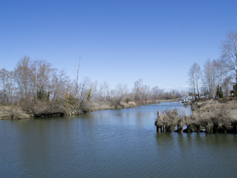 The Fraser River 