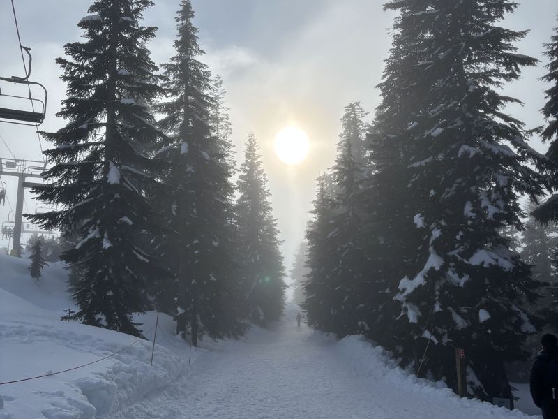Puneet Singh - Golden Light on White Snow (ADULT).jpg