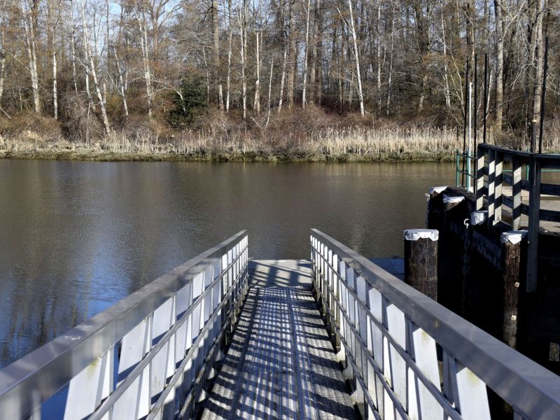 Ladner Slough