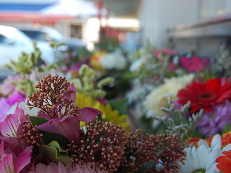 Delta Flowers