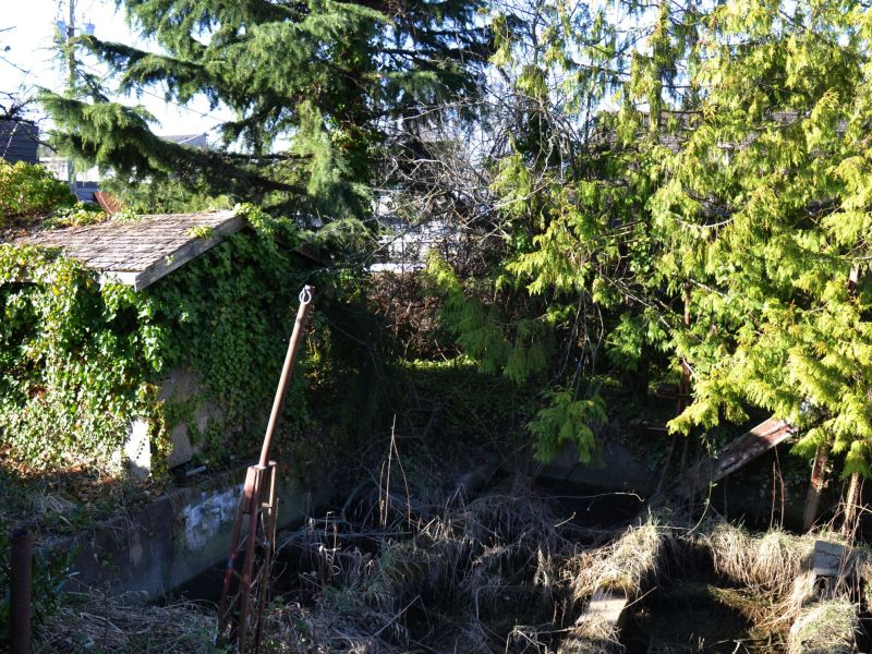 Overgrown Memories