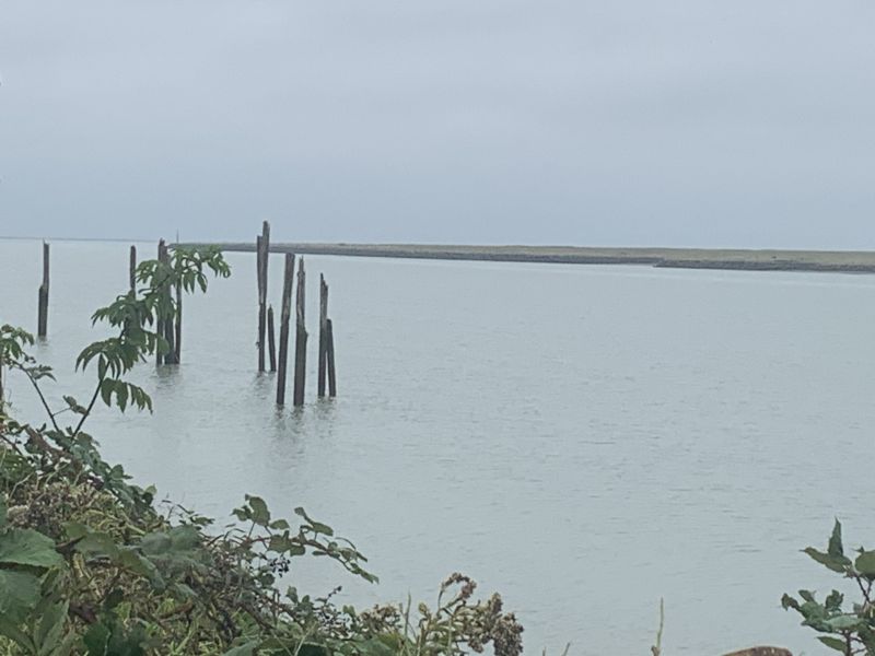 Ayr Barnett - River Walk (ADULT).jpg