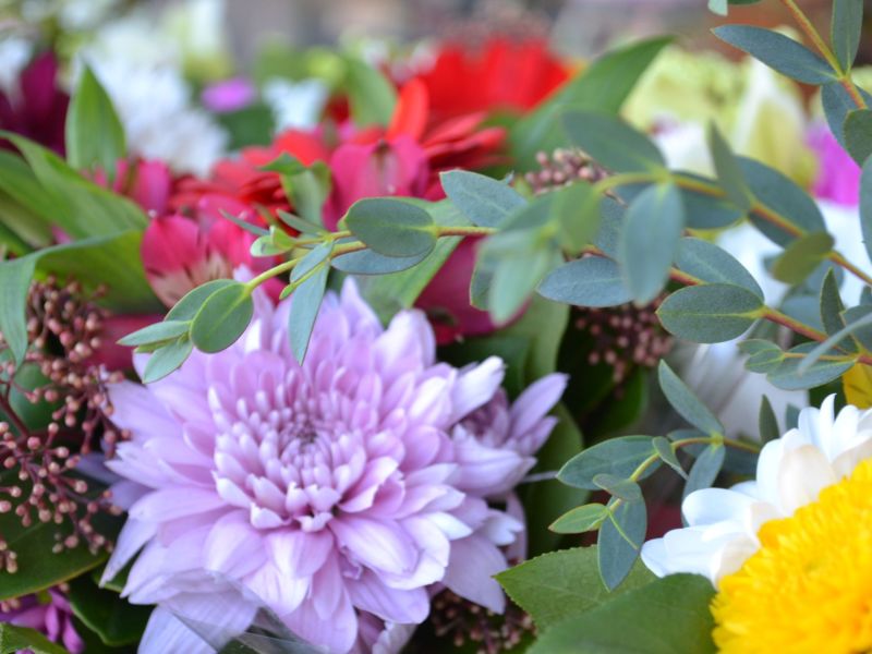 Flowers