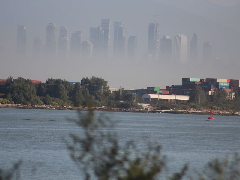 The Impact of Forest Fires from the Neglected Actions of Climate Change.