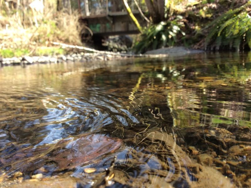 The Ripple Effect