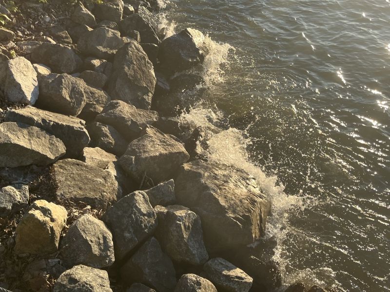 Charlotte Waterman - Rocky Waters (YOUTH).jpg