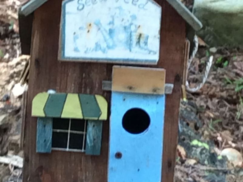 Bird House 