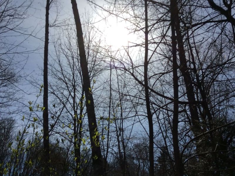 Environmental Stewardship 