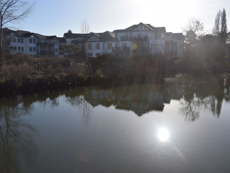 Ladner Slough