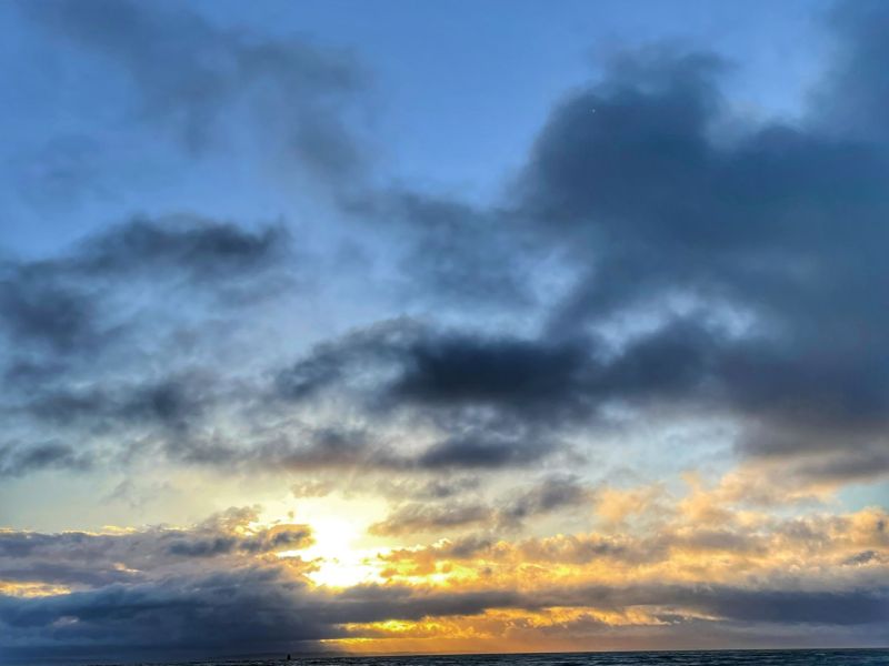 The Bay
