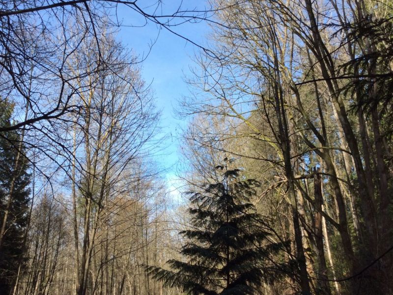 Environmental Stewardship