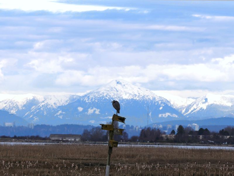 Keeper of the Marsh