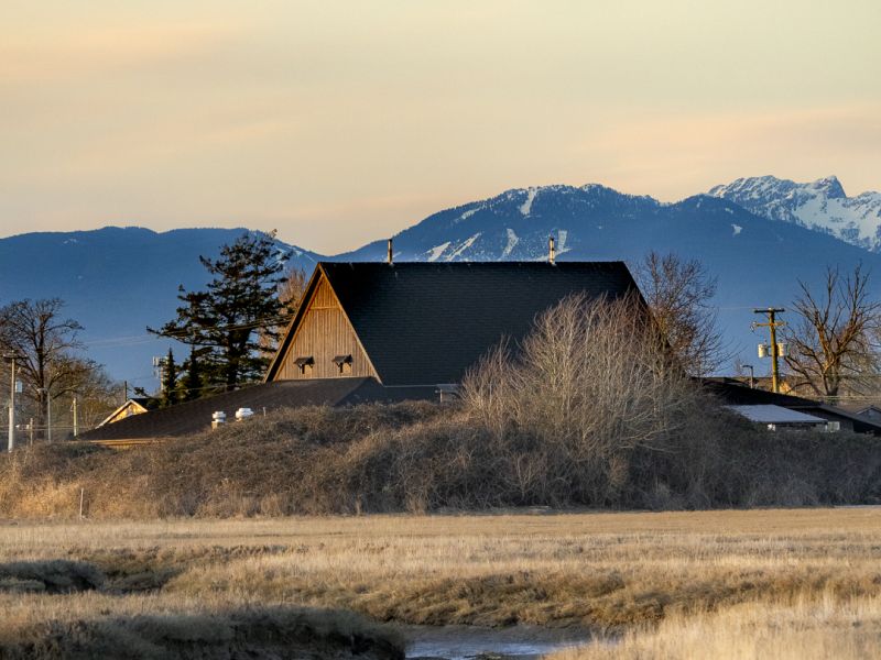 Ishrath Nayeem- A First Nations Dream Connection Mountains to Shores (ADULT).jpg