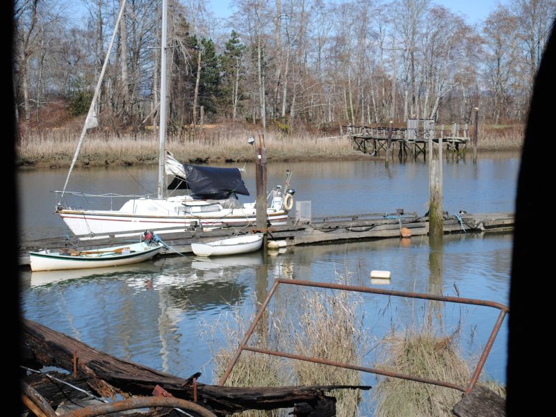 Scarlett NM - Dock (YOUTH).jpg