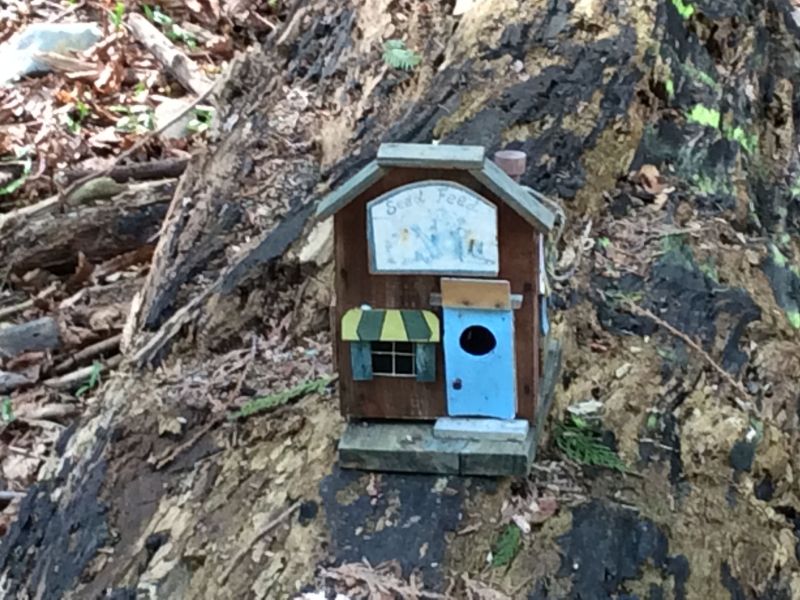 Bird House