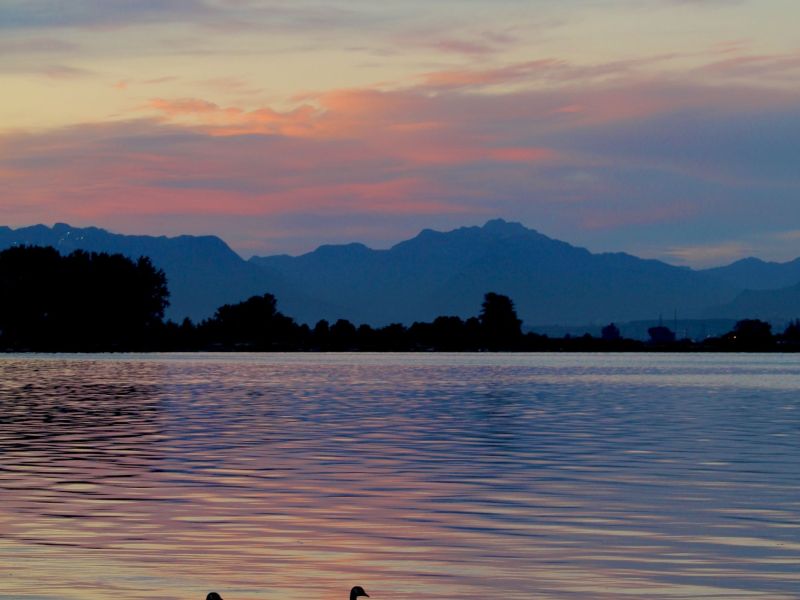 Gorgeous Glow; Graceful Geese