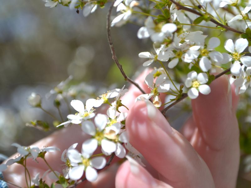 Humans Must Learn to Coexist with Nature