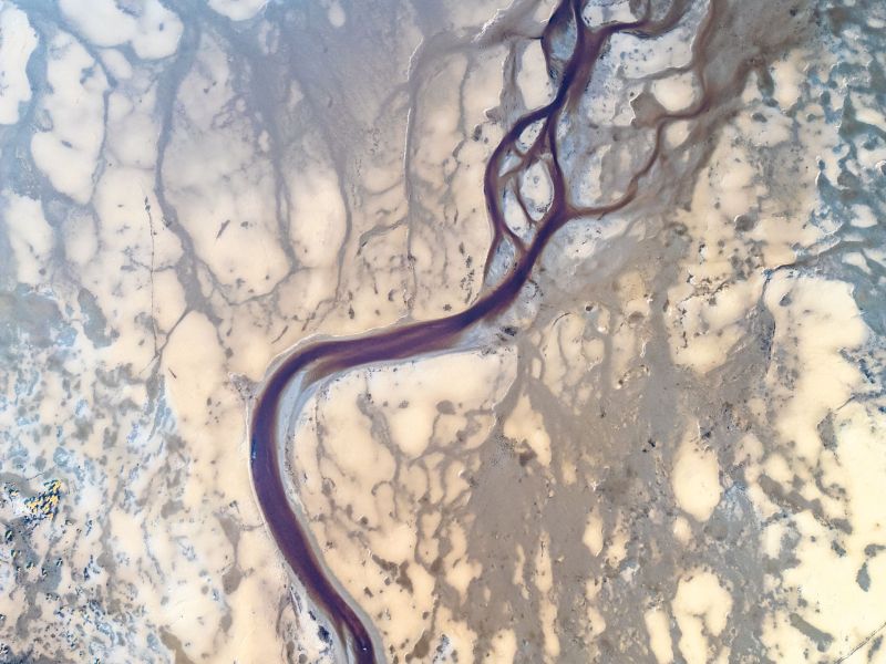 (Adult) Ronan Considine - Veins of Delta .jpg