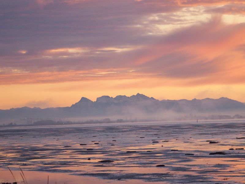 Yisun Wei - Dawn Serenity at Boundary Bay (Adult) .jpg